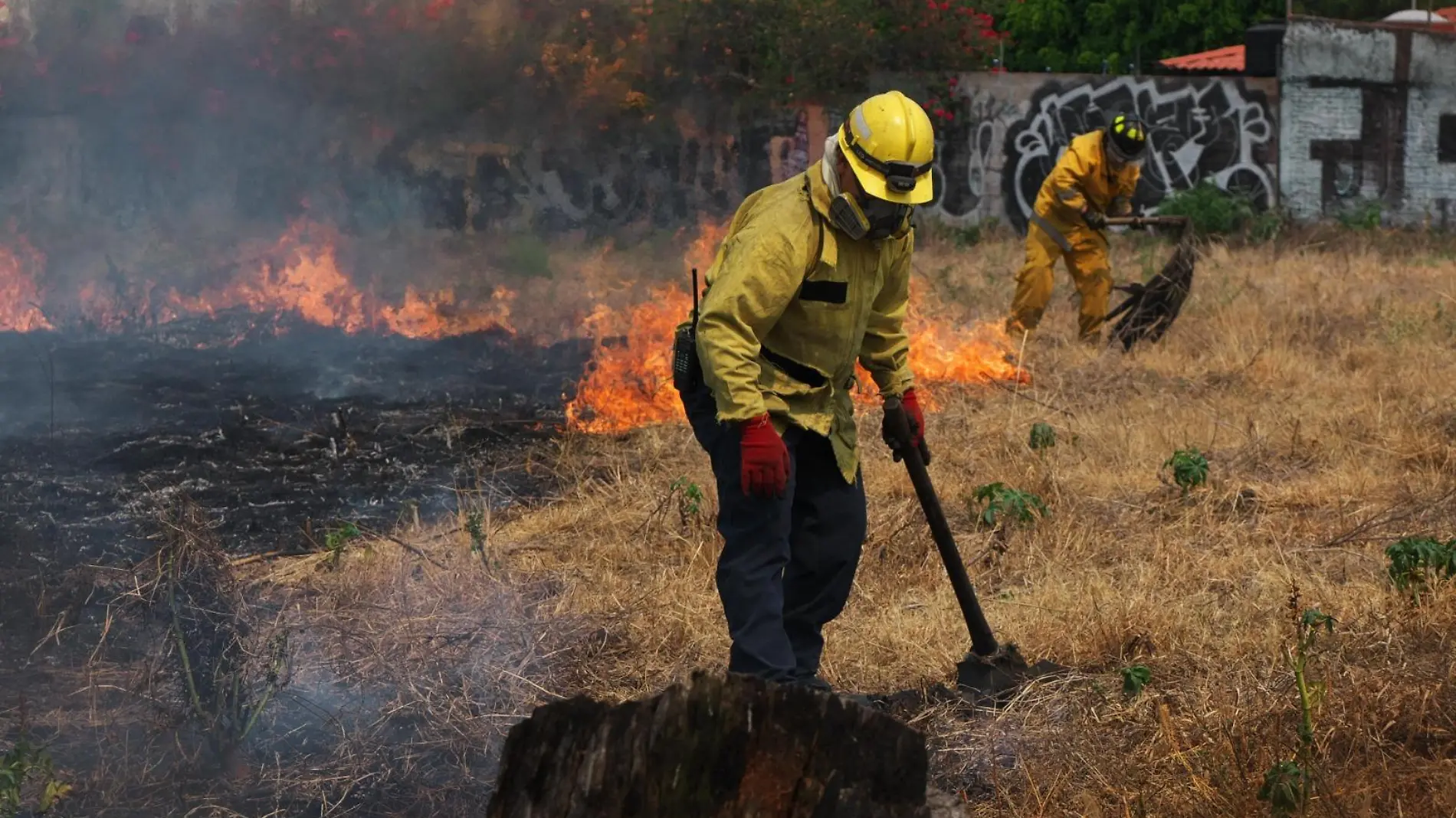 Incendios forestales